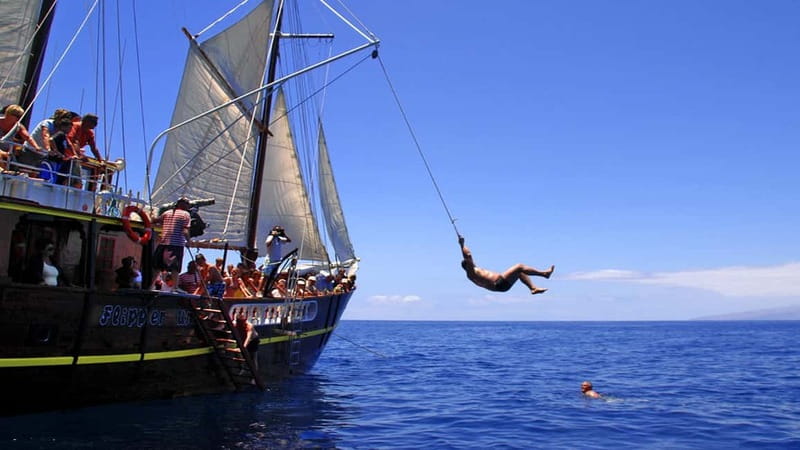 Los Gigantes: Dolphin & Whale Watching Tour on a Pirate Boat - Paella, Drinks, and the Onboard Atmosphere