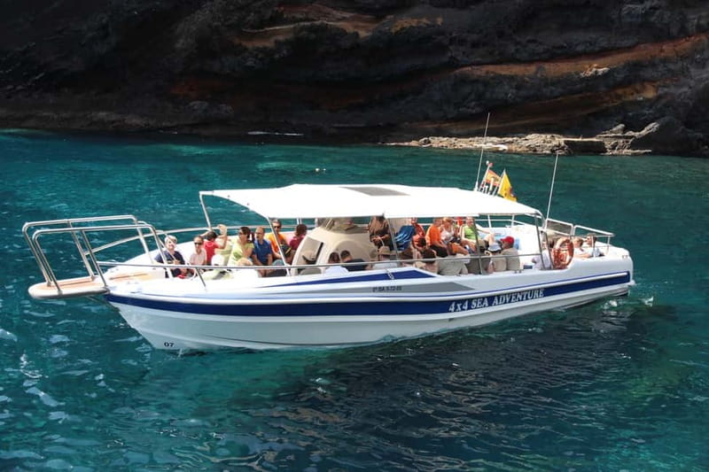 Los Gigantes: Whale or Dolphin Watching Tour and Swim in Masca - Why this short Los Gigantes trip works so well