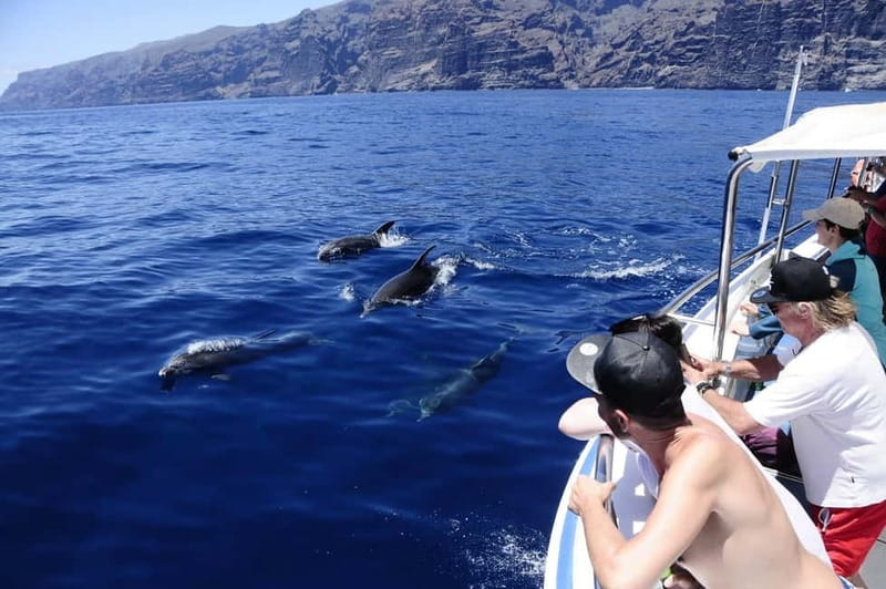 Los Gigantes: Whale or Dolphin Watching Tour and Swim in Masca - The 30-minute ride toward the whales