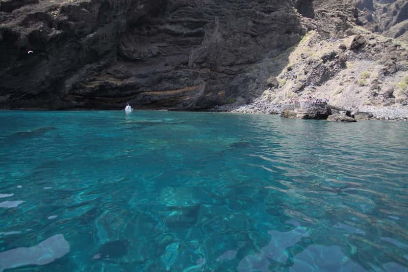 Los Gigantes: Whale or Dolphin Watching Tour and Swim in Masca - What the $33 price really includes