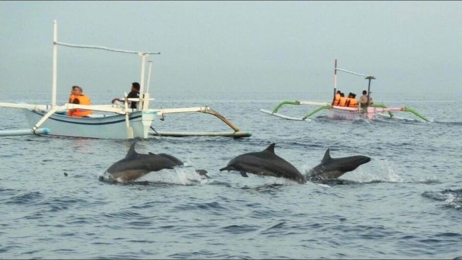 lovina bali: Dolphin watching, waterfall and local lunch - What the $54 price covers