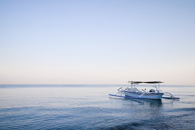 Lovina Dolphin Watching, Snorkeling and Waterfall Tour in Bali - Key points to know before booking