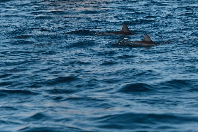 Lovina Dolphin Watching, Snorkeling and Waterfall Tour in Bali - Lovina Beach gives the day its purpose