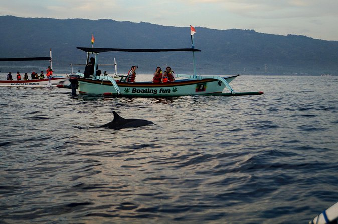 Lovina Dolphin Watching, Snorkeling and Waterfall Tour in Bali - Five optional stops, five different versions of the day