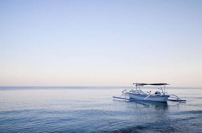 Lovina Dolphin Watching, Snorkeling and Waterfall Tour in Bali - Who should book this private Bali tour?