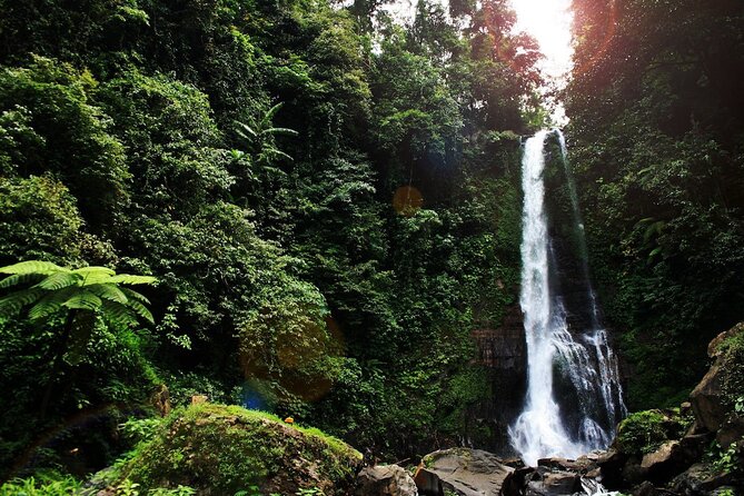 Lovina Dolphin Watching, Snorkeling and Waterfall Tour in Bali - Booking details worth checking