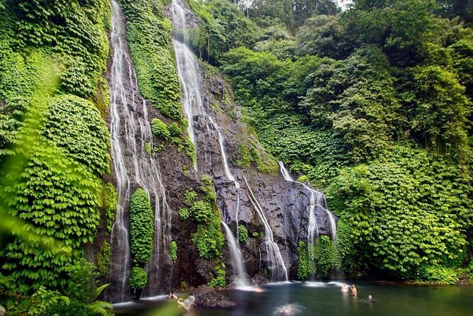 Lovina Sunrise Dolphin & Waterfall Tour - Is $79 a fair price?