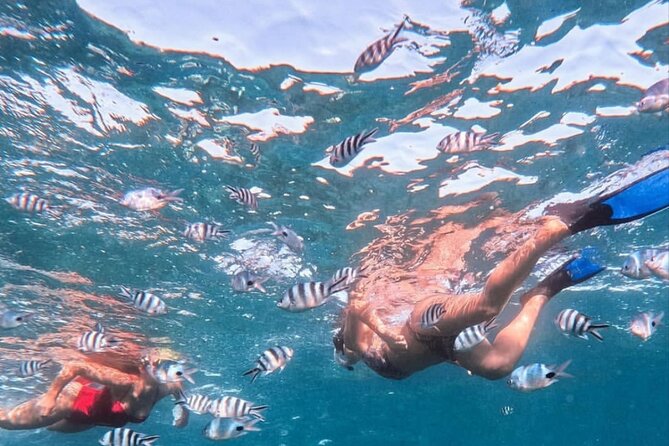 Lovina Sunrise Dolphin with option snorkeling and waterfall - What this experience really is