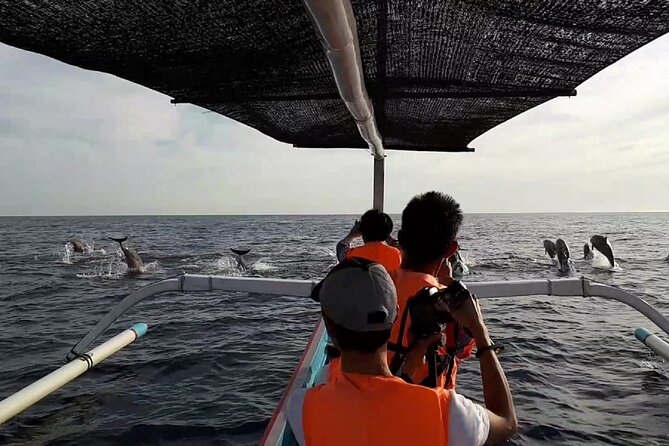 Lovina Sunrise Dolphin with option snorkeling and waterfall - What about the waterfall stops?
