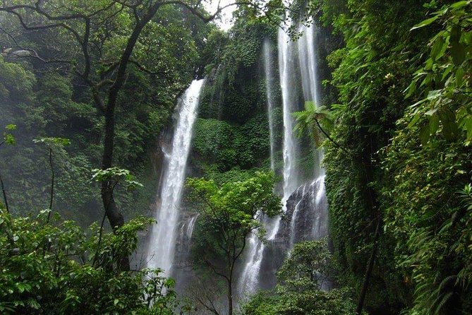 Lovina sunrise with Dolphin watching and Twin Banyumala Waterfall Day Trip - Why this north Bali day is worth the early alarm