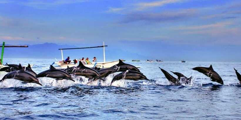 Lovina: Watching Dolphin, Swimming Dolphin Bali Tour - What to bring and what to confirm