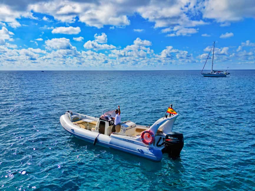 Luxury EcoMarine Safari – Whale & Dolphin Watching Adventure - Should you book the Luxury EcoMarine Safari?
