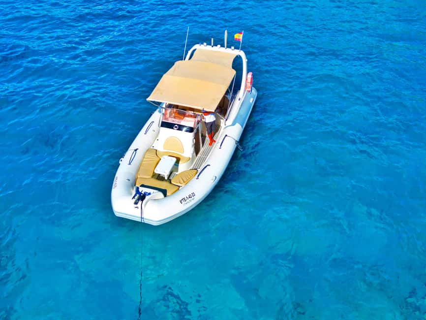 Luxury EcoMarine Safari – Whale & Dolphin Watching Adventure - Listening to the sea instead of chasing it