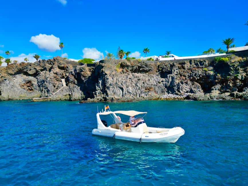 Luxury EcoMarine Safari – Whale & Dolphin Watching Adventure - What the $112 price buys you