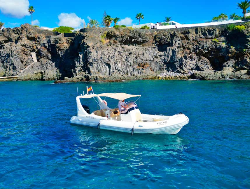 Luxury EcoMarine Safari – Whale & Dolphin Watching Adventure - How to prepare for the two-hour safari