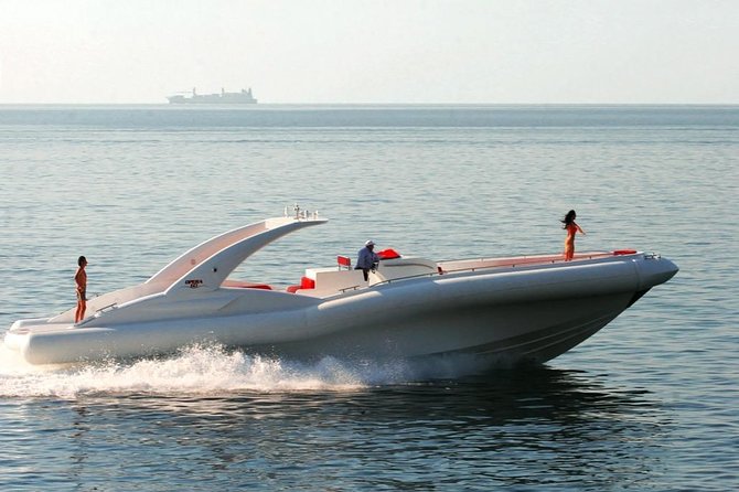 Luxury Opera 60 Whale & Dolphin Watching Experience - What the 740-HP Boat Adds