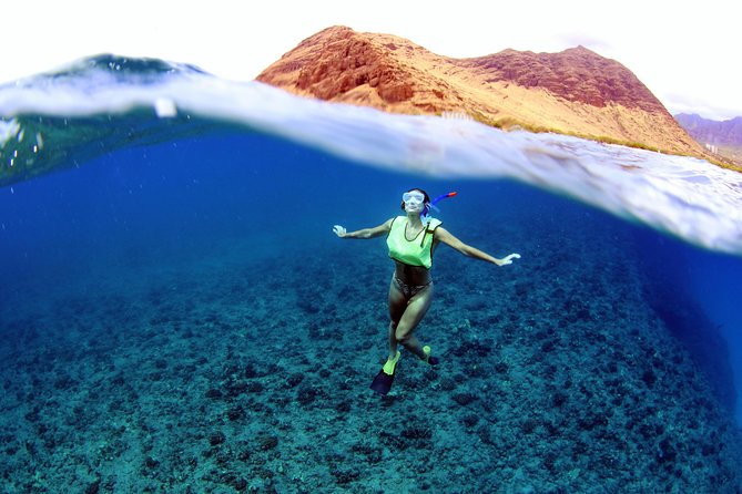 Luxury Snorkel Cruise, Local Buffet with Whale & Dolphin Watch - Sailing from Ko Olina along Oahu’s west coast