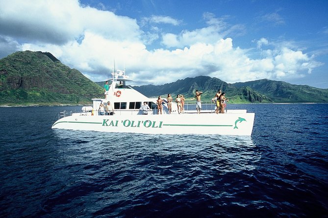 Luxury Snorkel Cruise, Local Buffet with Whale & Dolphin Watch - Wildlife watching where nature sets the rules