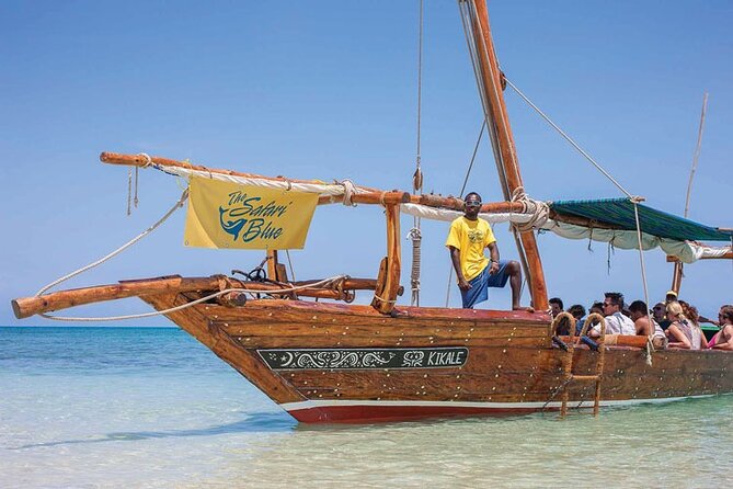 Luxury Swimming with DOLPHINS IN MNEMBA and LUNCH - Key points to know before booking
