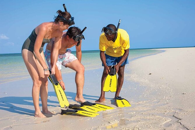 Luxury Swimming with DOLPHINS IN MNEMBA and LUNCH - Setting out from Zanzibar City to Matemwe Muyuni