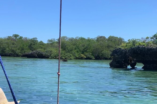 Luxury Swimming with DOLPHINS IN MNEMBA and LUNCH - Lunch on the beach and the seafood question