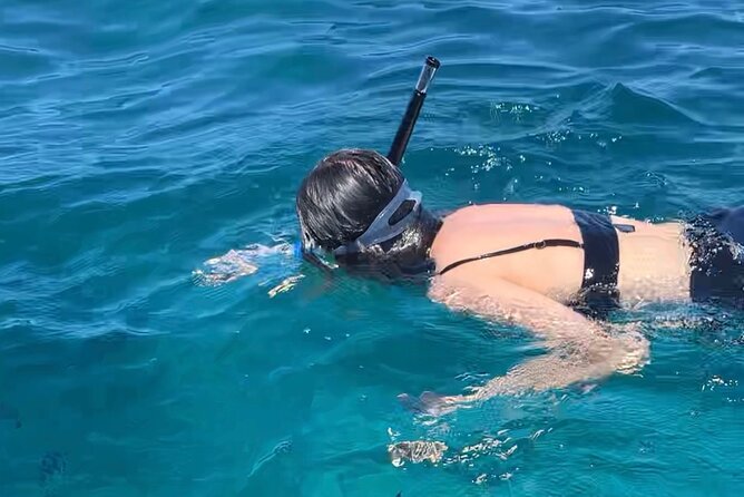 Luxury Swimming with DOLPHINS IN MNEMBA and LUNCH - Practical details before you go