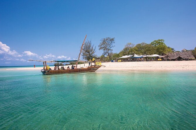 Luxury Swimming with DOLPHINS IN MNEMBA and LUNCH - Searching for dolphins by motorized water taxi