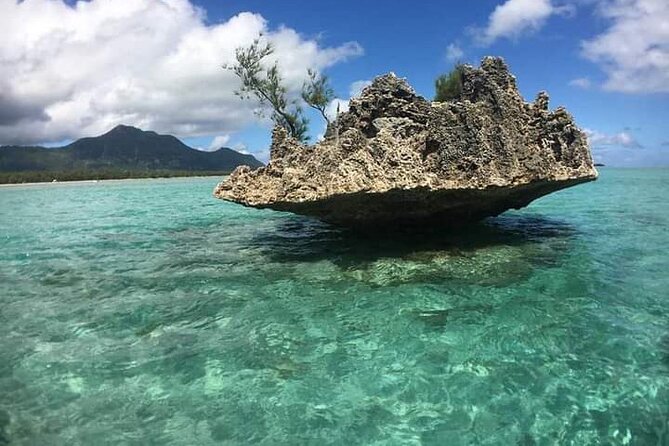 Lydia Boat Mauritius :Private boat tour:Whales&Dolphins encounter - What the private format is worth