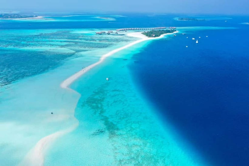 Maafushi: Nurse Sharks, Stingrays, Sand Bank and Dolphins - Key points at a glance