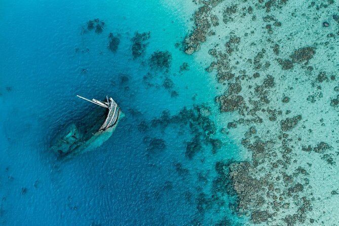 Maafushi: Ship wreck & Nurse shark snorkeling with Dolphin watching - Leaving Maafushi at 8:00 am