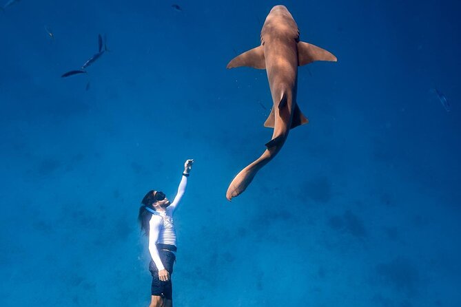 Maafushi: Ship wreck & Nurse shark snorkeling with Dolphin watching - Local island hopping between water stops