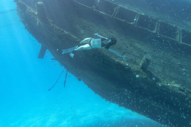 Maafushi: Ship wreck & Nurse shark snorkeling with Dolphin watching - Meeting nurse sharks and giant trevallies