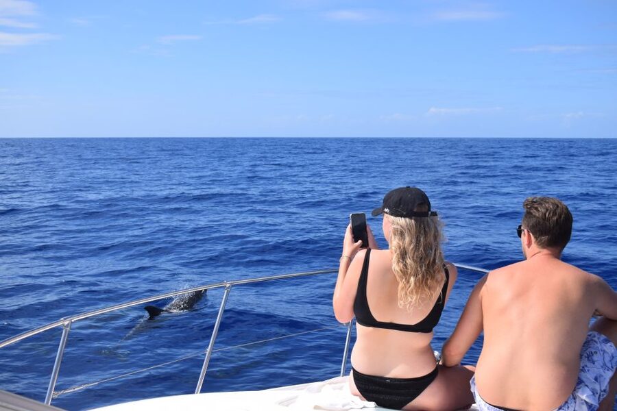 Madeira: 2.5-Hour Whale and Dolphin-Watching Cruise - Who should book this cruise?