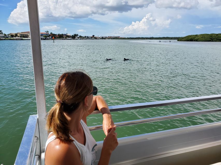 Madeira Beach: Guided Dolphin Watching Eco-Friendly Cruise - Searching for dolphins in Boca Ciega Bay