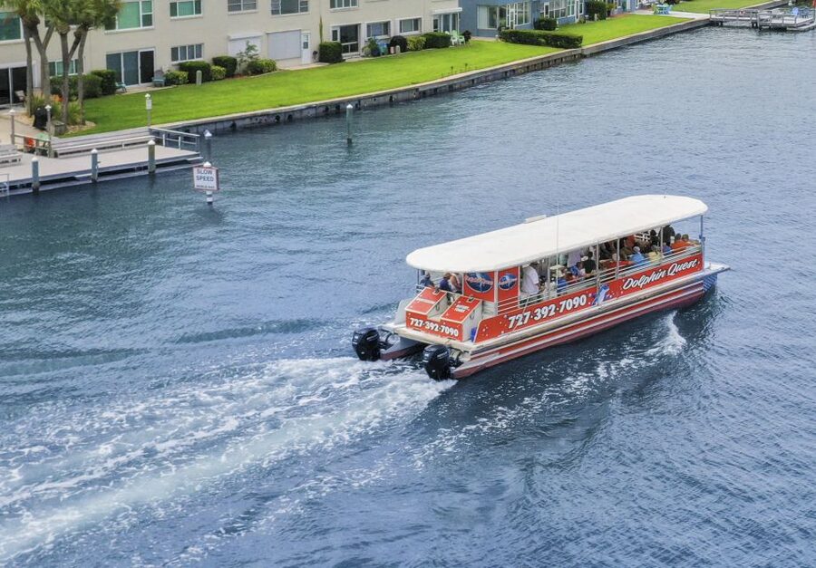 Madeira Beach: Guided Dolphin Watching Eco-Friendly Cruise - Drinks, weather, and what to bring