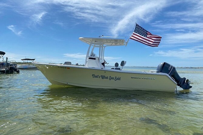 Madeira Beach - Shell Key - Dolphins - Half Day Private Boat Tour - A private start from Madeira Beach