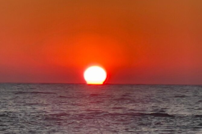 Madeira Beach - Shell Key - Dolphins - Half Day Private Boat Tour - Who should book this Madeira Beach tour?
