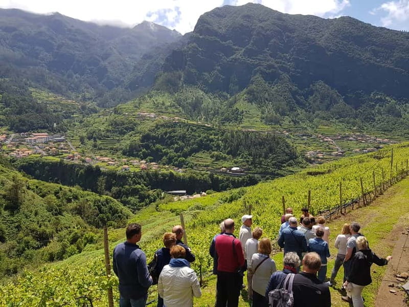 Madeira: Cabo Girão, Wines Experience and Dolphins Watching - Practical advice for making the day easier