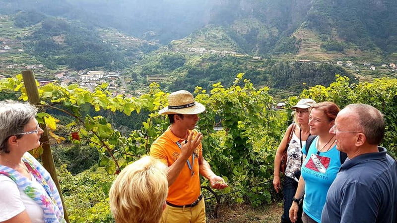 Madeira: Cabo Girão, Wines Experience and Dolphins Watching - Who will enjoy this full-day combination