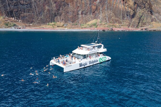 Madeira Dolphin and Whale Watching on a Ecological Catamaran - A wildlife cruise built around Madeira’s open ocean