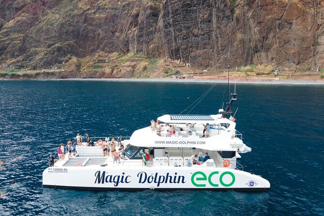 Madeira Dolphin and Whale Watching on a Ecological Catamaran - Boarding at Praça do Povo in Funchal