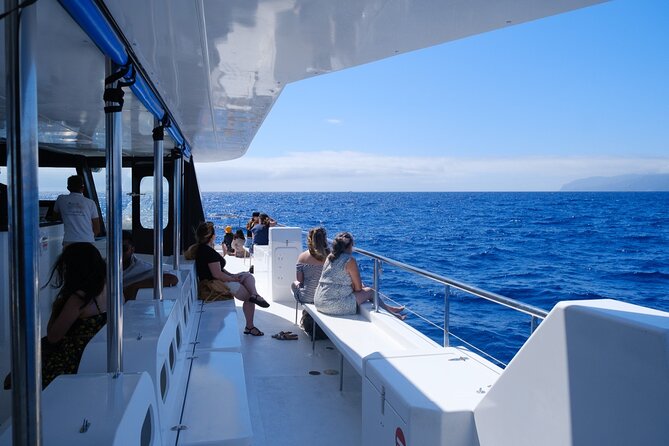 Madeira Dolphin and Whale Watching on a Ecological Catamaran - Who should book this Funchal cruise?