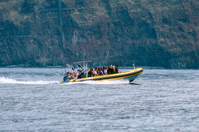 Madeira Dolphin & Whale Watching Tour - How long the trip really takes