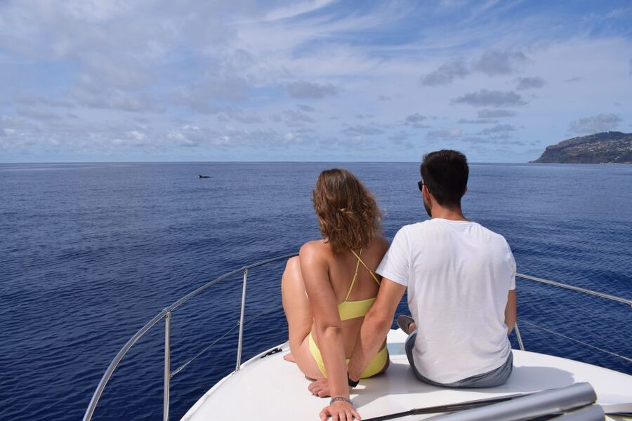 Madeira: Whale and Dolphin Watching Private Cruise - Drinks, Photos, and the Ride Back