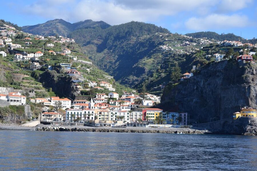 Madeira: Whale and Dolphin Watching Private Cruise - Who Will Enjoy This Cruise Most