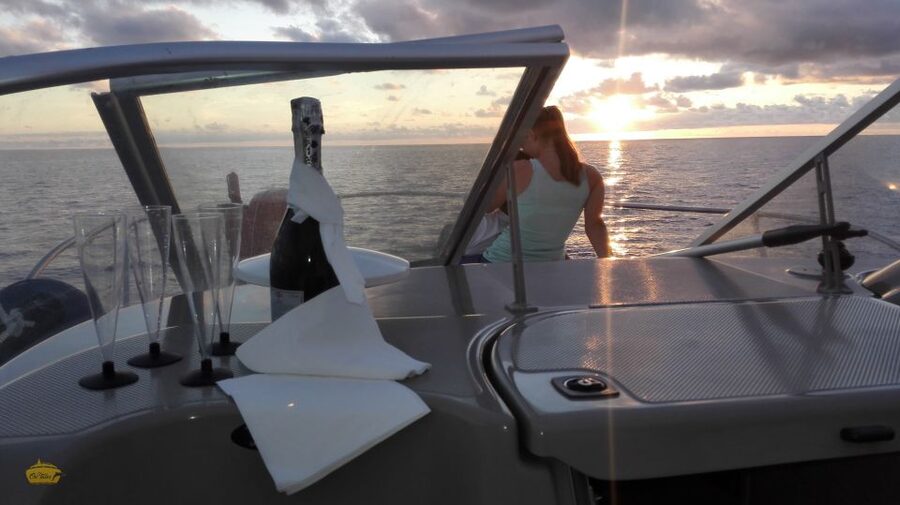 Madeira: Whale and Dolphin Watching Private Cruise - A Comfortable Yacht Instead of a Crowded Excursion Boat