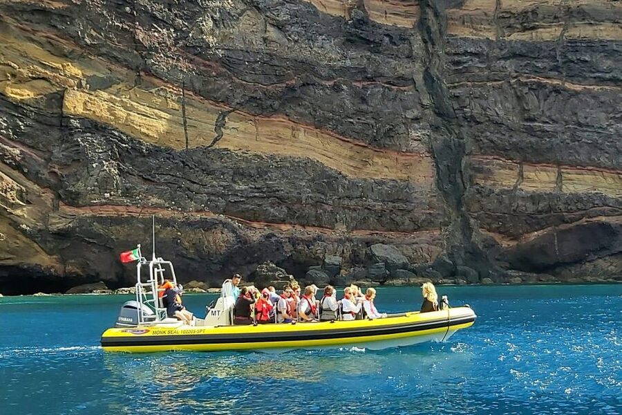 Madeira: Whale and Dolphin Watching Tour - FAQ