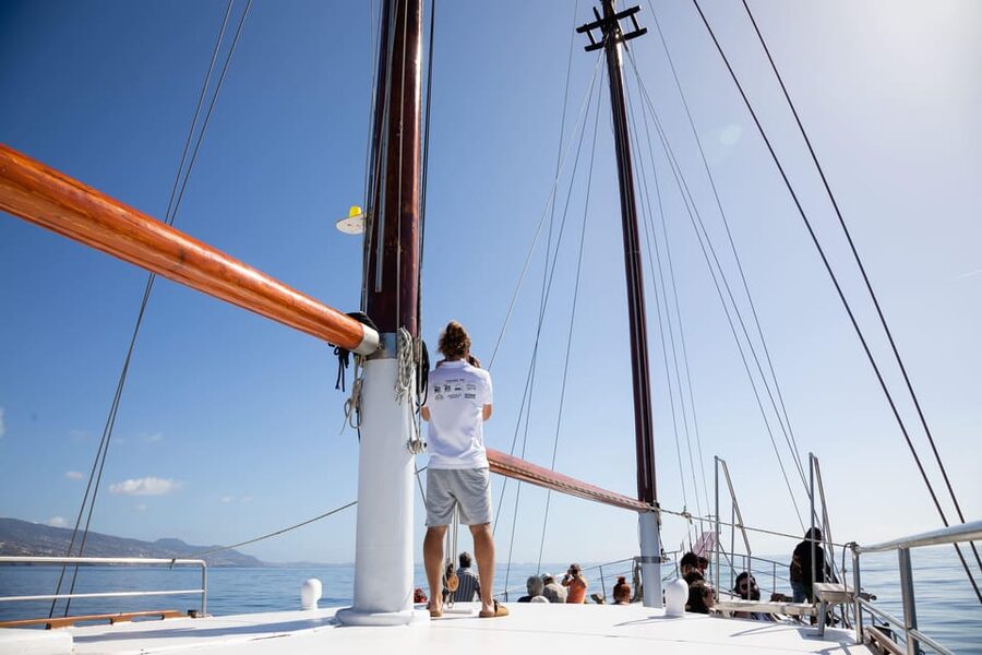 Madeira : Whales and Dolphins wooden boat excursion - The wooden boat and onboard comfort