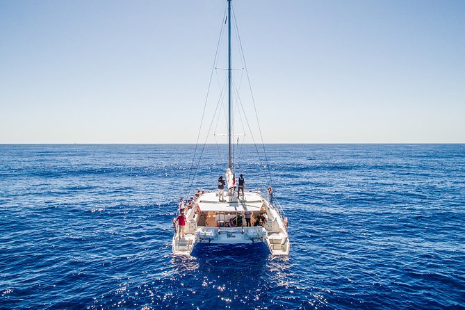 Magic Dolphin Celebrity - Key points to know before sailing