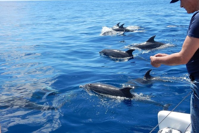 Magic Dolphin Celebrity - Leaving Funchal and searching the Atlantic